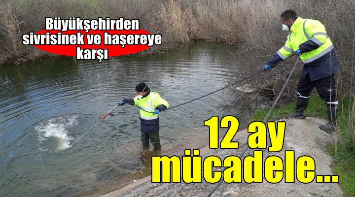 Sivrisinek ve haşereyle mücadele 12 ay sürüyor