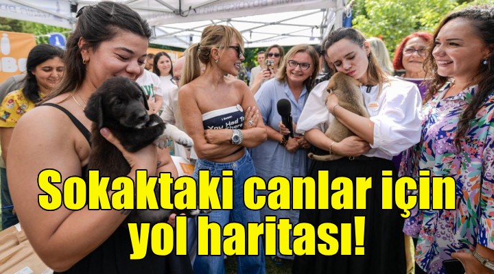 Sokaktaki canlar için yol haritası belirlendi!