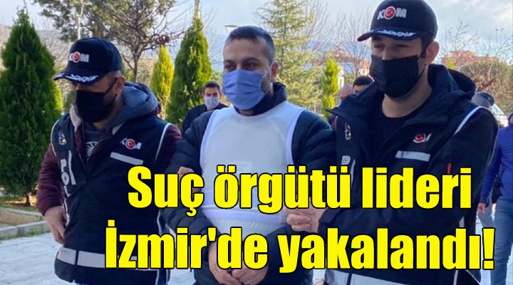 Suç örgütü lideri İzmir'de yakalandı!
