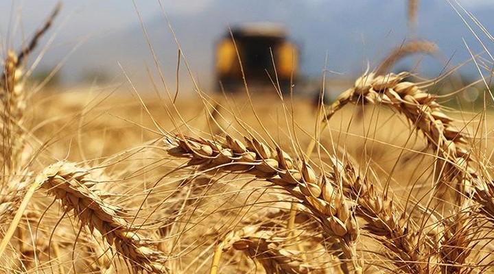 Suriye'den buğday ithal edilecek