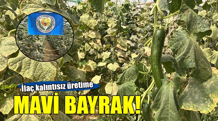 Tarımda ilaç kalıntısız sebze-meyve üretimine mavi bayrak!