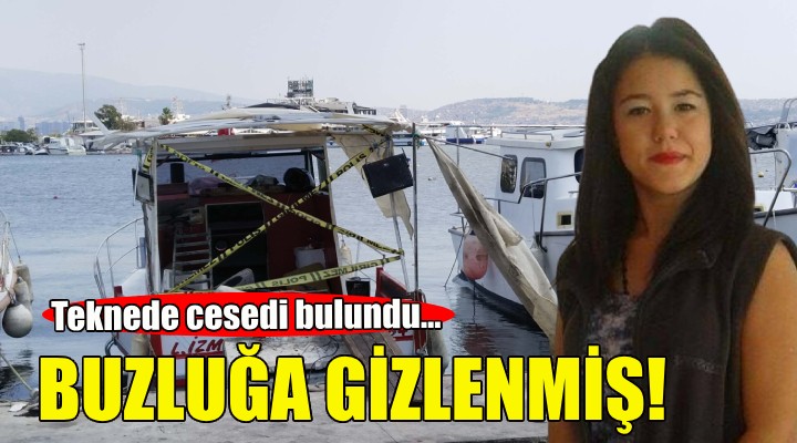 Tekene cesedi bulundu... Buzluğa gizlenmiş!