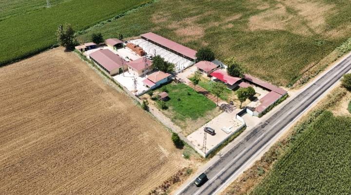 Tire Belediyesi hayvan bakımevinde kapasite artırılıyor