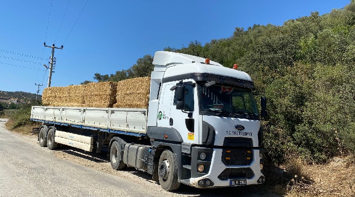 Tire Belediyesi'nden yangın bölgesindeki üreticilere destek