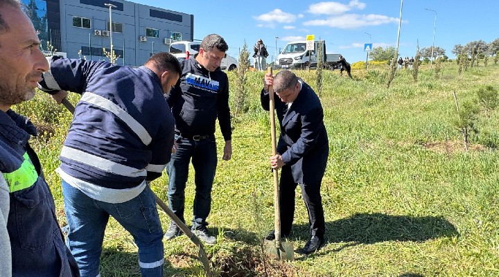 Tire'de fidanlar toprakla buluştu