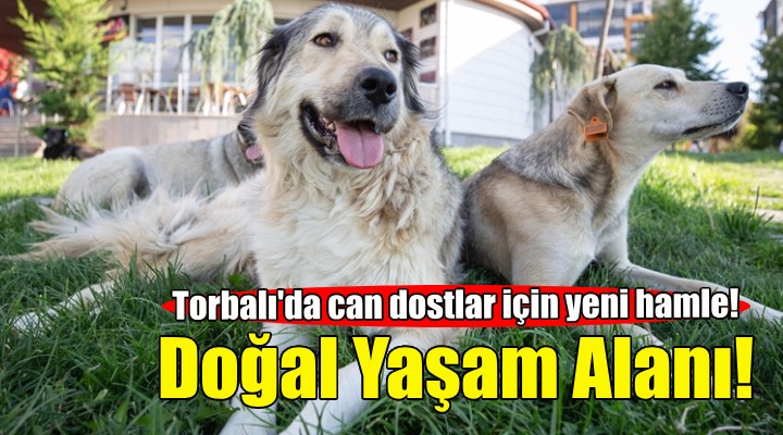 Torbalı'da can dostlar için Doğal Yaşam Alanı!