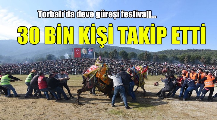 Torbalı'da deve güreşi festivali...