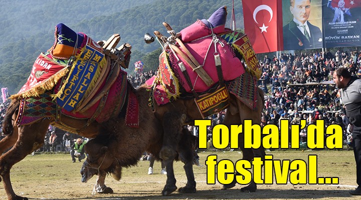 Torbalı'da deve güreşi festivali...