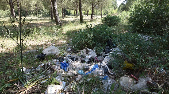 Torbalı'da temizlik harekatı