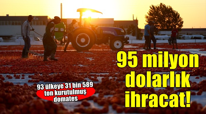 Türkiye, yılın ilk yarısında kurutulmuş domatesten 95 milyon dolar kazandı