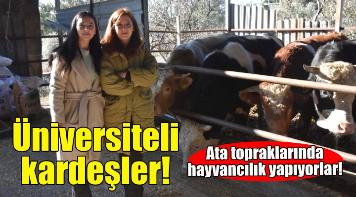 Üniversiteli kardeşler ata topraklarında hayvancılık yapıyor!