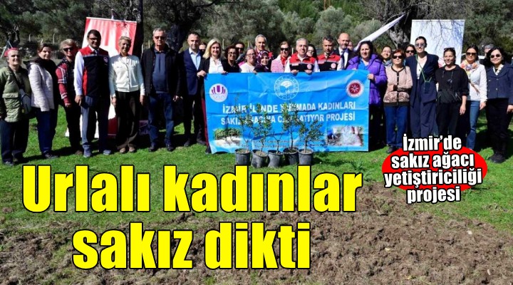 Urla'da kadın çiftçiler sakız fidanlarını toprakla buluşturdu