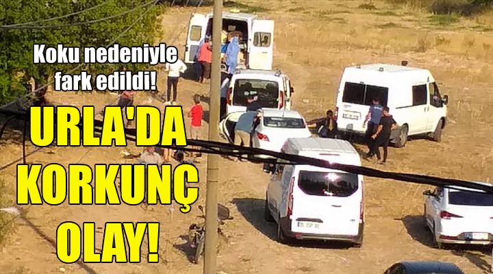 Urla'da korkunç olay!