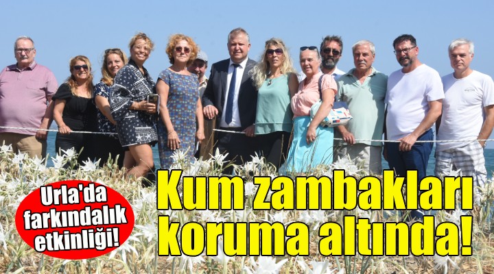 Urla'da kum zambakları koruma altında!