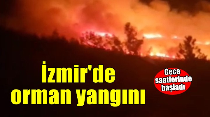 Urla'da orman yangını