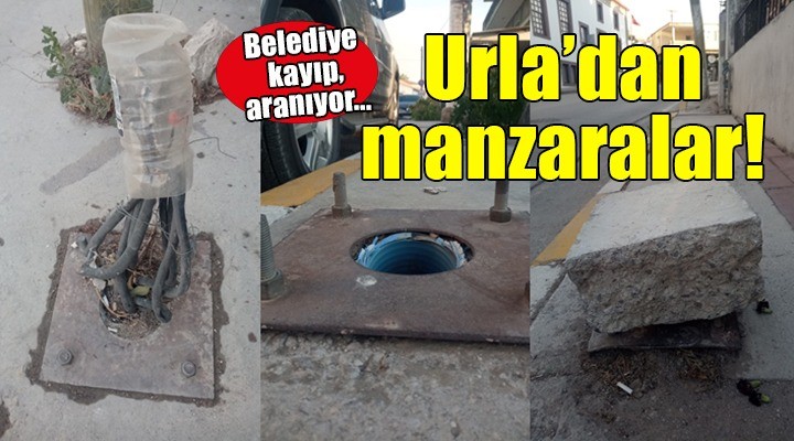 Urla'da sahipsizliğin fotoğrafları!