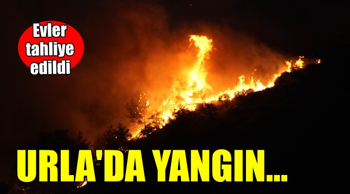 Urla'da yangın... Evler tahliye edildi!