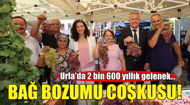 Urla’da Bağ Bozumu coşkusu!