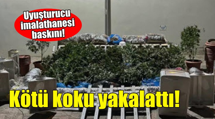 Uyuşturucu imalathanesi kötü kokuyla ortaya çıktı!