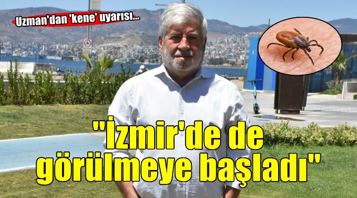 Uzman isimden 'kene uyarısı'... İklim değişikliği ile beraber keneler İzmir'de de görülmeye başlandı