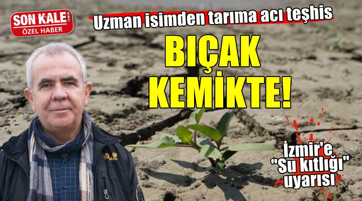 Uzman isimden tarıma acı teşhis... BIÇAK KEMİKTE!