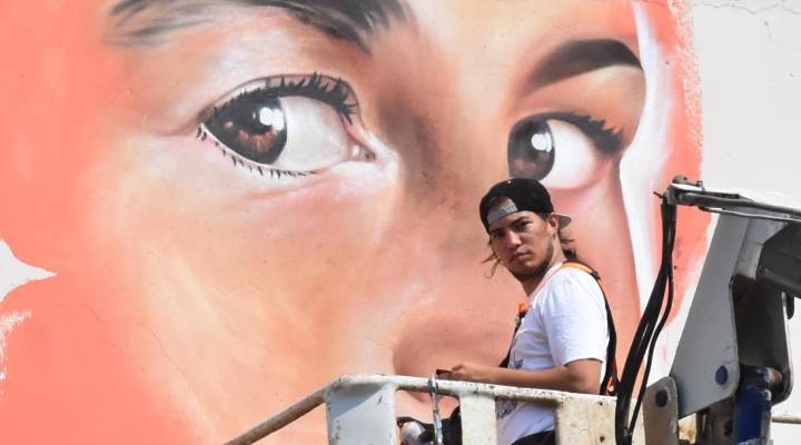 Venezuelalı sanatçı İzmir'de okul boyuyor