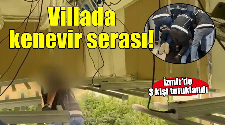 Villada kenevir serası...3 kişi tutuklandı!