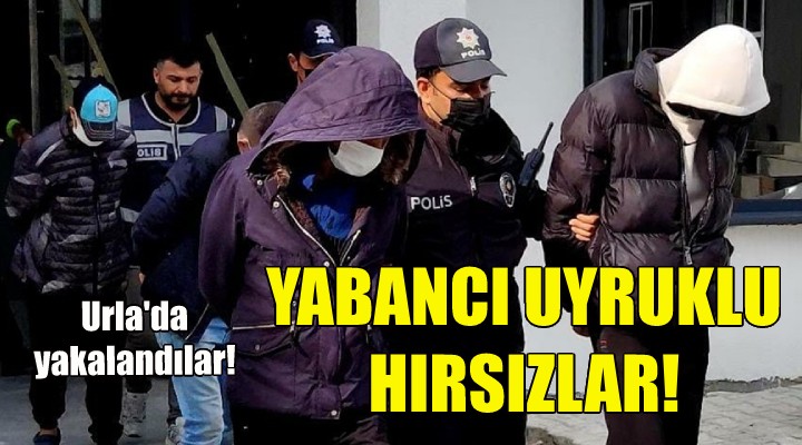 Yabancı uyruklu hırsızlar tutuklandı!