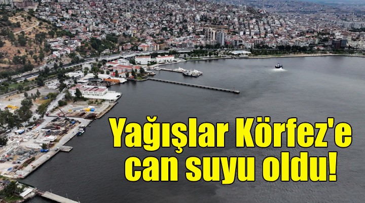 Yağışlar Körfez'e can suyu oldu!