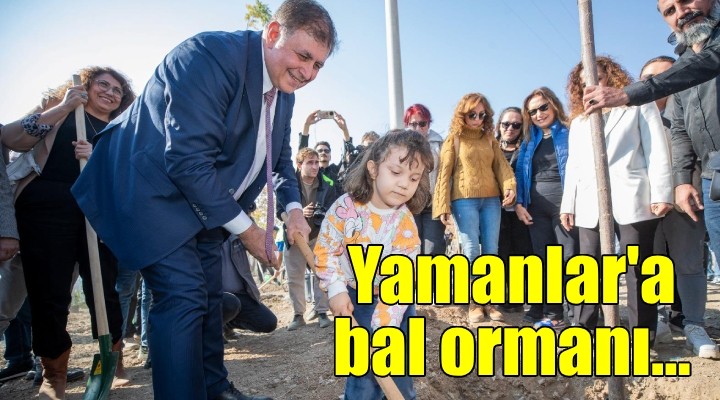 Yamanlar'a bal ormanı.. Fidanlar dikildi!