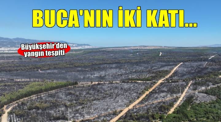 Yanan alanların büyüklüğü Buca'nın yüzölçümünün iki katı