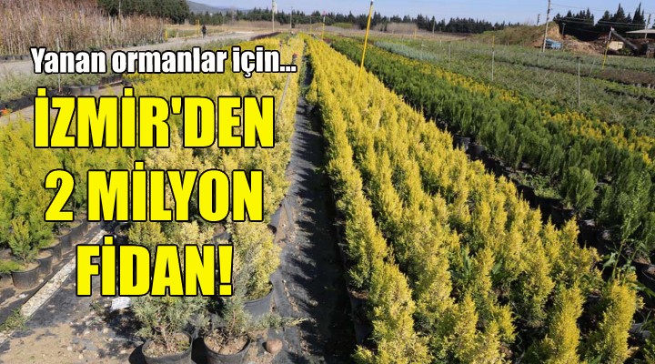 Yanan ormanlar için İzmir'den 2 milyon fidan!