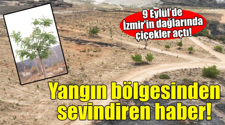 Yangın bölgesinden sevindiren haber!