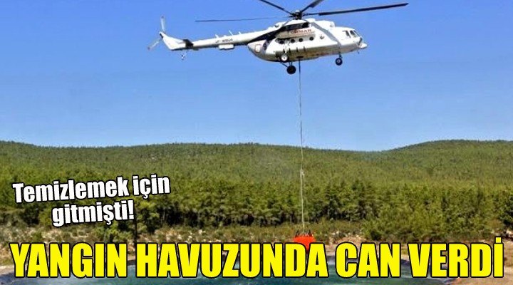 Yangın havuzunda can verdi!