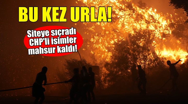 Yangın kabusu: Bu kez Urla!