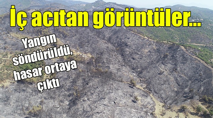 Yangın sonrası iç acıtan görüntüler...