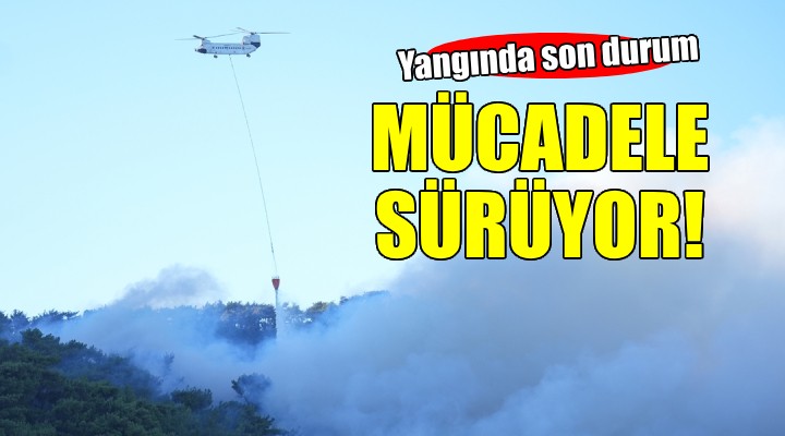 Yangında son durum... Mücadele sürüyor!