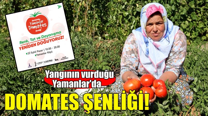 Yangının vurduğu Yamanlar'da Domates Şenliği!