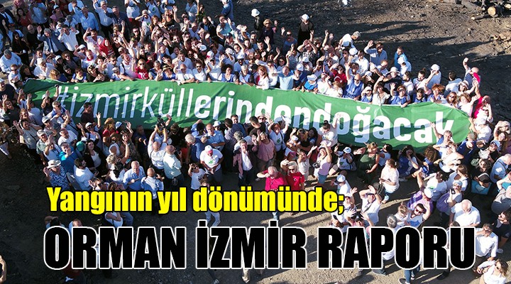 Yangının yıl dönümünde 'Orman İzmir' raporu