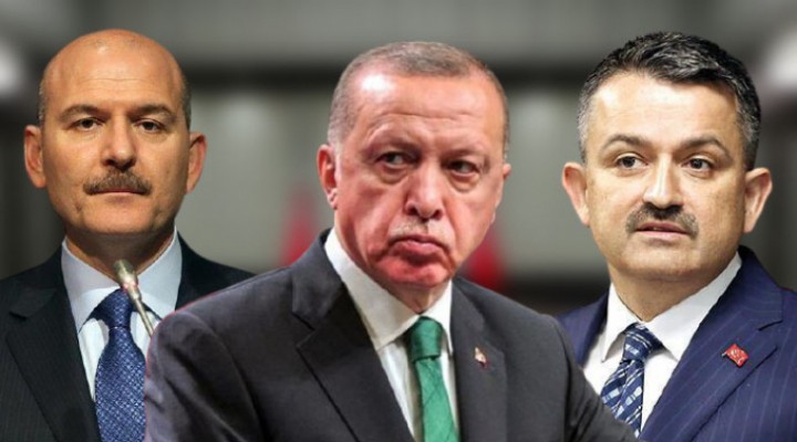 Yangınlar yüzünden Erdoğan, Soylu ve Pakdemirli hakkında suç duyurusu