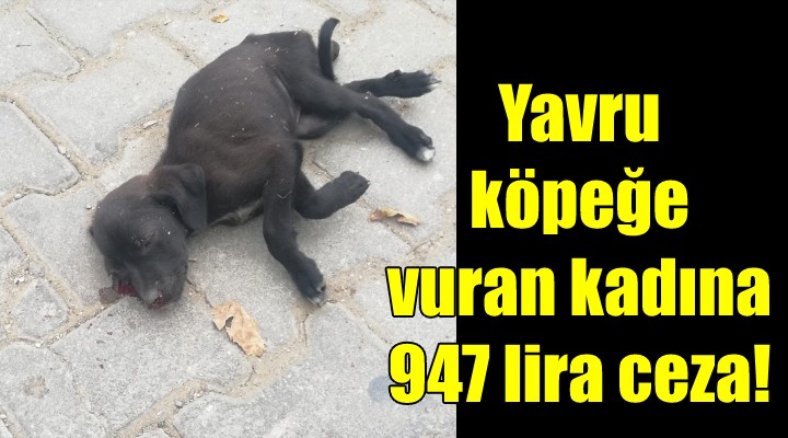 Yavru köpeğe sopayla vuran kadına 947 lira ceza