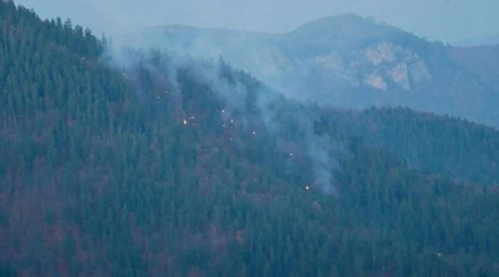 Yedigöller Milli Parkı'nda orman yangını