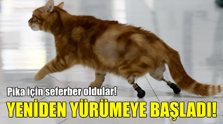 Yeniden yürümeye başladı!