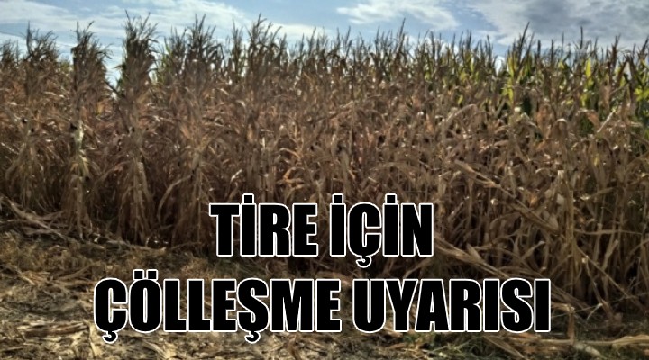 Yeşil cennet Tire için çölleşme uyarısı!