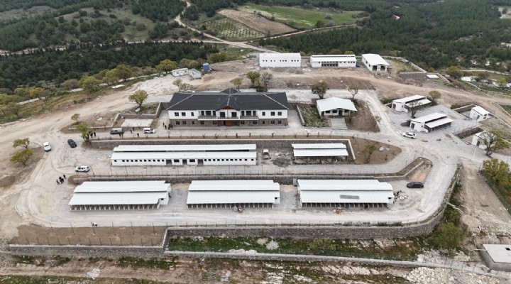 Yunusemre'de Hayvan Yaşam Merkezi açılıyor