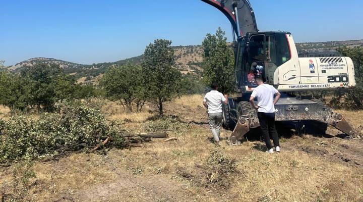 Yunusemre'de özel ağaçlandırma alanlarına bakım