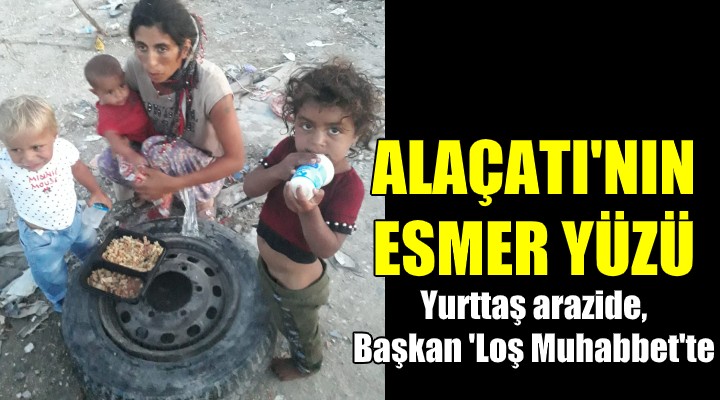 Yurttaş arazide, Başkan Loş Muhabbet'te... ALAÇATI'NIN ESMER YÜZÜ