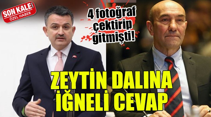 ZEYTİN DALINA İĞNELİ CEVAP! 4 fotoğraf çektirip gitmişti!