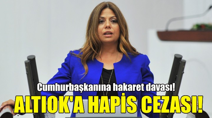 Zeynep Altıok'a hapis cezası!