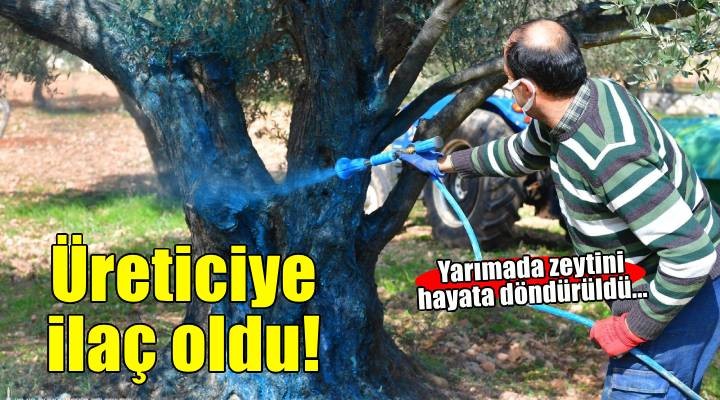 Zeytin üreticisine ilaç oldu